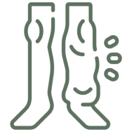 Lymphedema <span class="display-cls">and Lipedema</span>