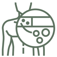 Swelling or Fluid Measurement